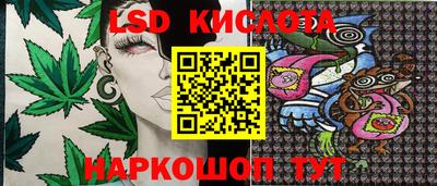 гидра Донецк