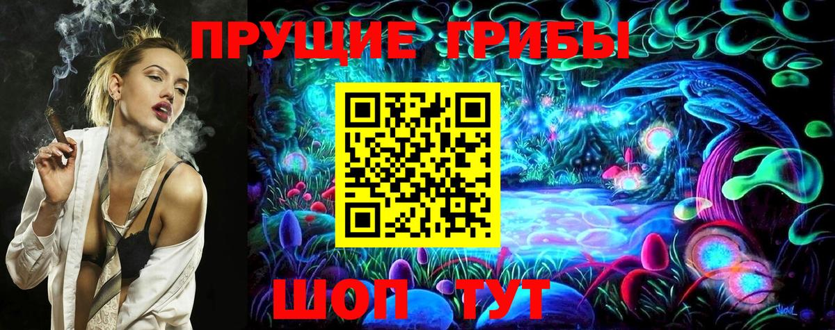Галлюциногенные грибы Psilocybe Орехово-Зуево