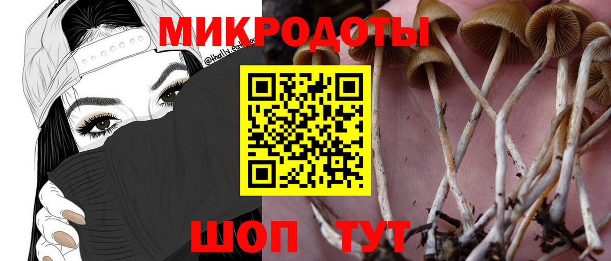 Орехово-Зуево  Галлюциногенные грибы GOLDEN TEACHER  даркнет сайт  Вход с VPN 